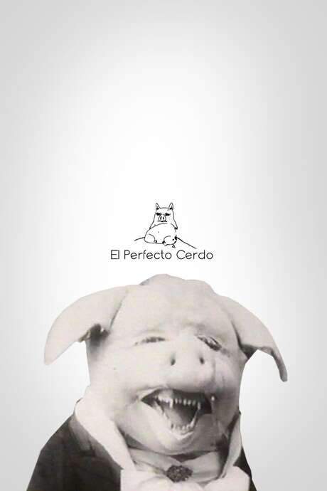    One of the first works by María Cañas, an excessive metadiscursive exercise on the “pig character” of current information and archive culture.  